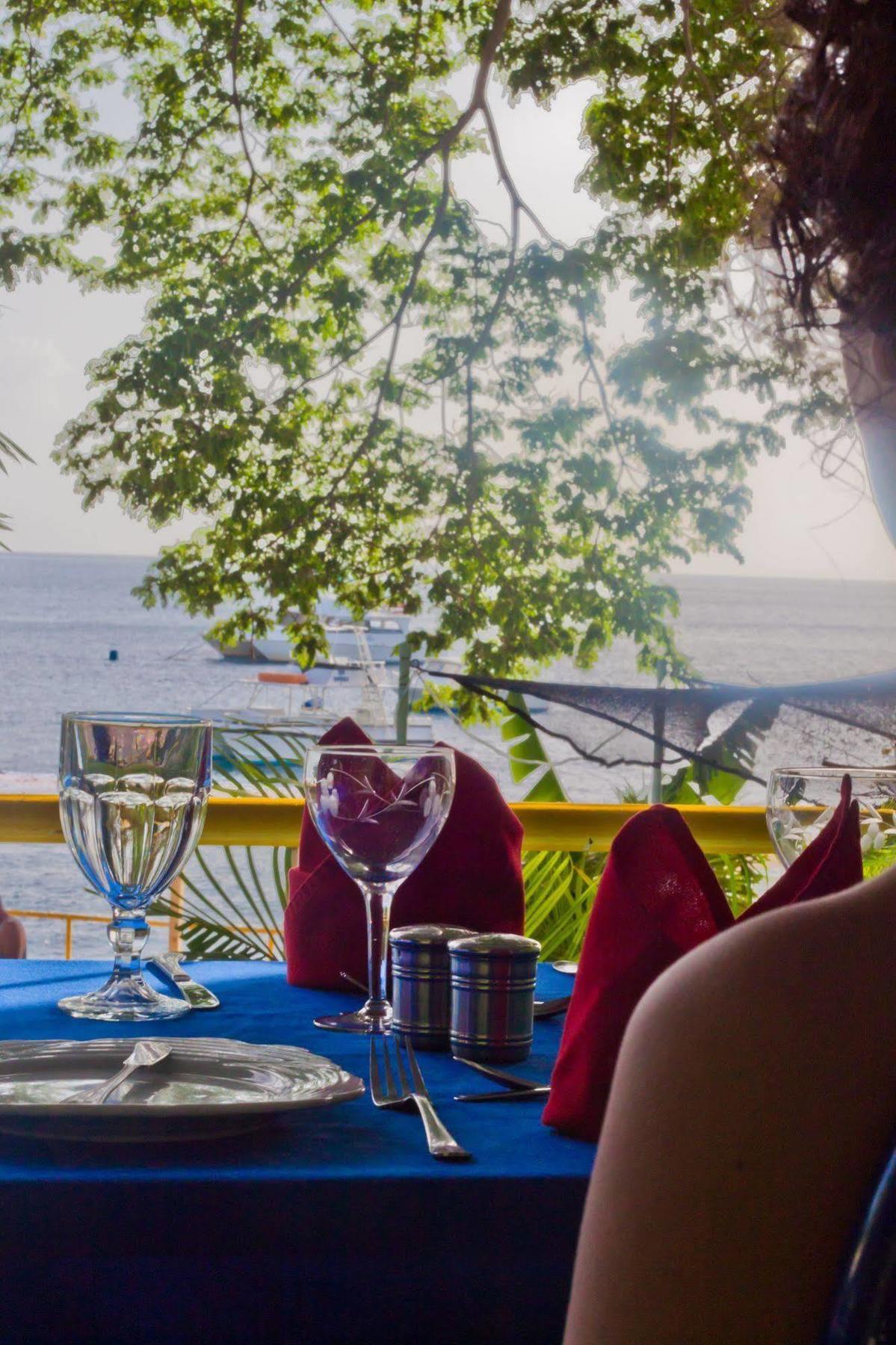Castle Comfort Lodge Roseau Ngoại thất bức ảnh